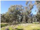 - Arrawidgee Rd, Morundah NSW 2700
