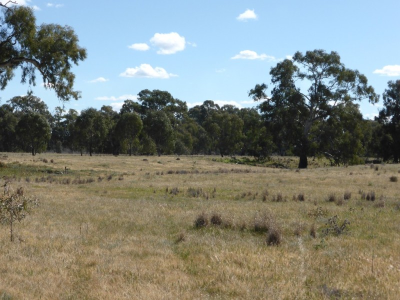 - Arrawidgee Rd, Morundah NSW 2700