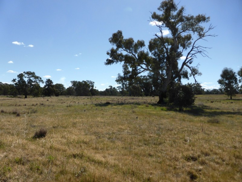 - Arrawidgee Rd, Morundah NSW 2700