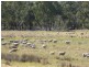 - Arrawidgee Rd, Morundah NSW 2700
