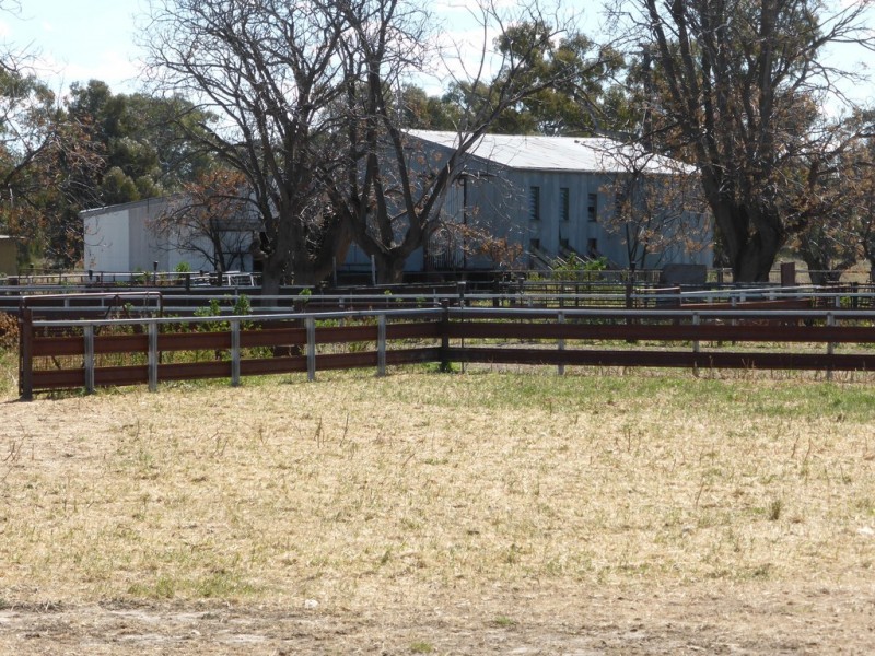 - Arrawidgee Rd, Morundah NSW 2700