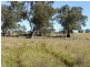- Arrawidgee Rd, Morundah NSW 2700