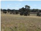 - Arrawidgee Rd, Morundah NSW 2700