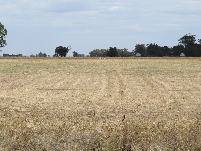 “Tarcoola” 457 Piney Road, Berrigan NSW 2712