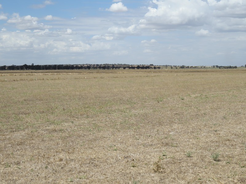 “Tarcoola” 457 Piney Road, Berrigan NSW 2712