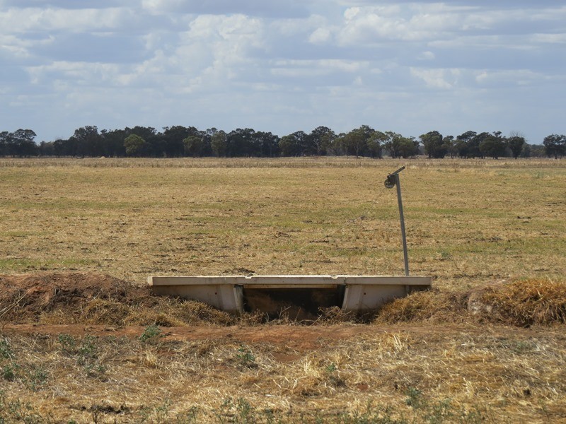 “Tarcoola” 457 Piney Road, Berrigan NSW 2712