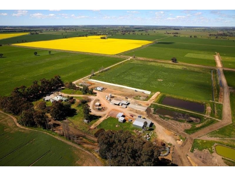 “Tarcoola” 457 Piney Road, Berrigan NSW 2712