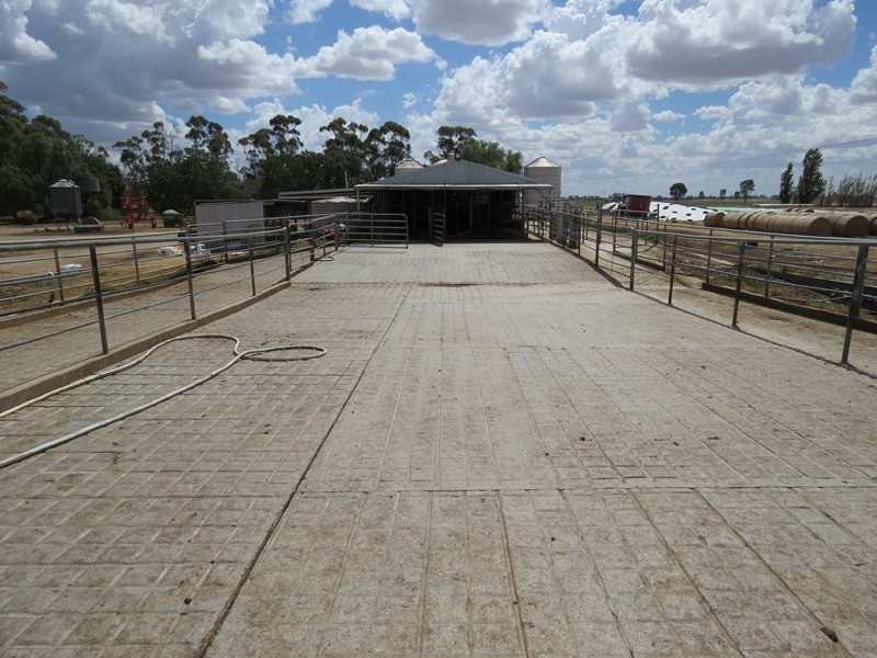 “Tarcoola” 457 Piney Road, Berrigan NSW 2712