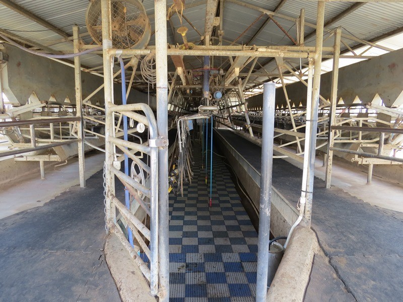 “Tarcoola” 457 Piney Road, Berrigan NSW 2712