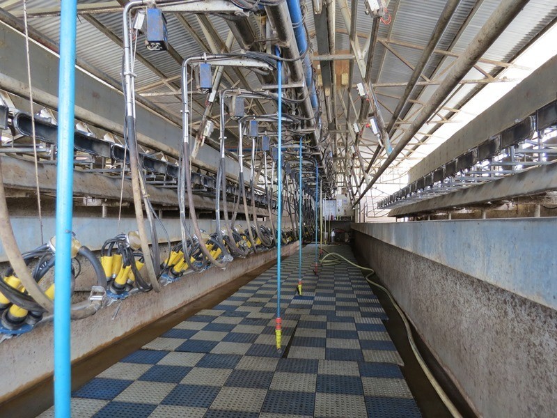 “Tarcoola” 457 Piney Road, Berrigan NSW 2712