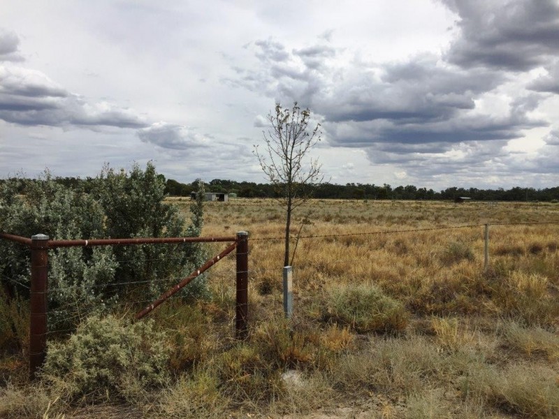 1 Cnr Gelam and Yang Yang St, Maude NSW 2711