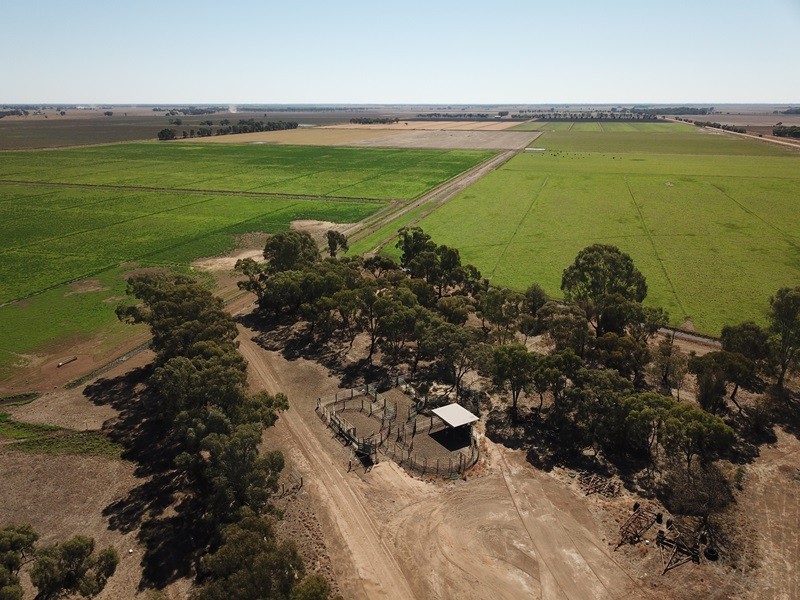 73 Maws Road, Deniliquin NSW 2710