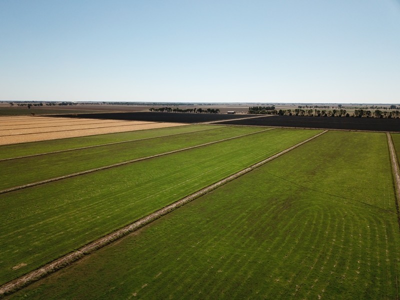 73 Maws Road, Deniliquin NSW 2710