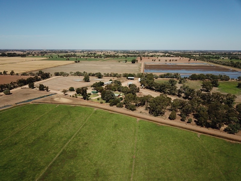 73 Maws Road, Deniliquin NSW 2710