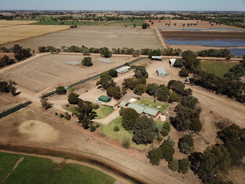 73 Maws Road, Deniliquin NSW 2710