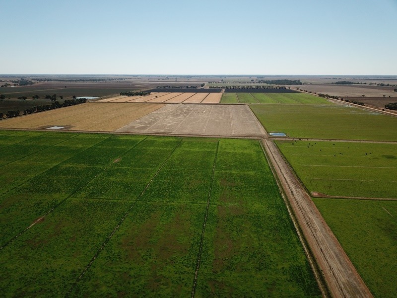 73 Maws Road, Deniliquin NSW 2710