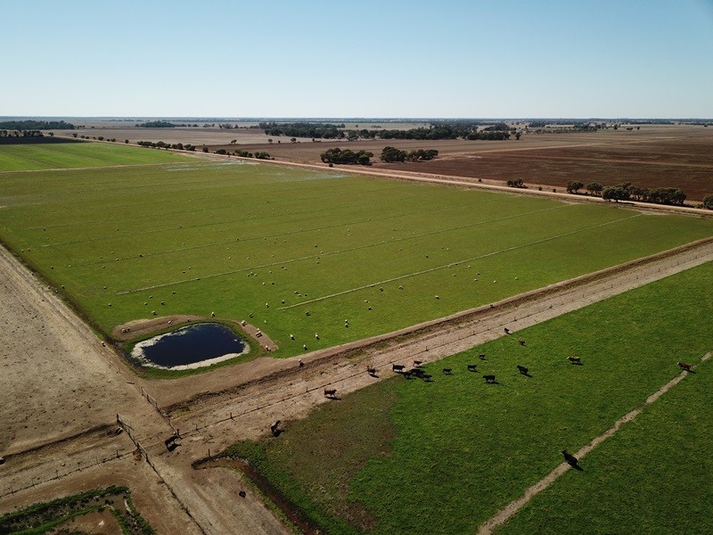 73 Maws Road, Deniliquin NSW 2710