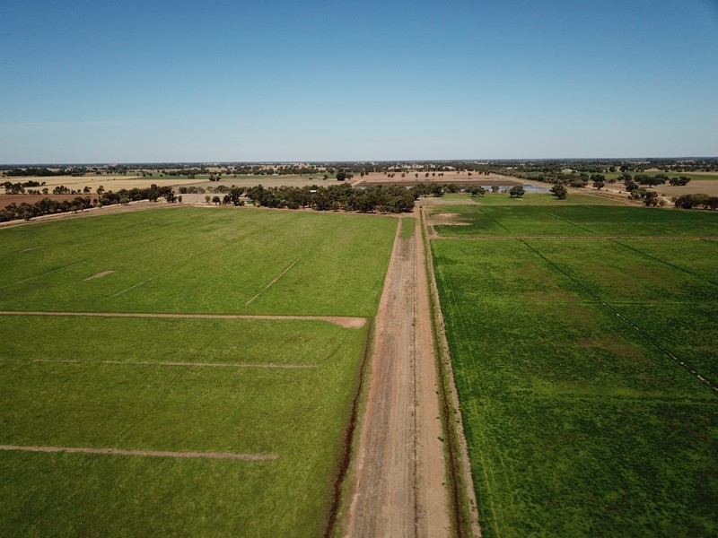 73 Maws Road, Deniliquin NSW 2710