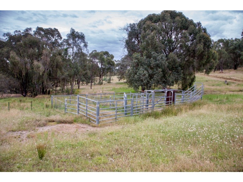 260 Shaw Street, Albury NSW 2640