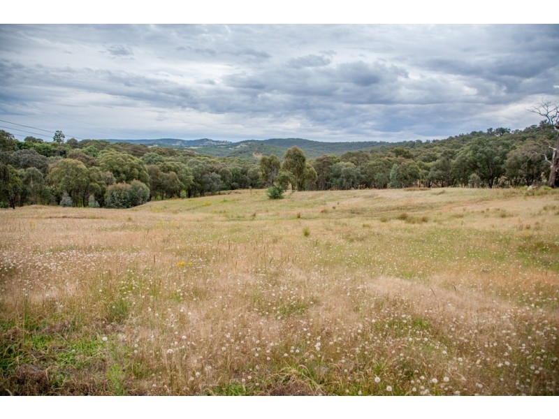 260 Shaw Street, Albury NSW 2640