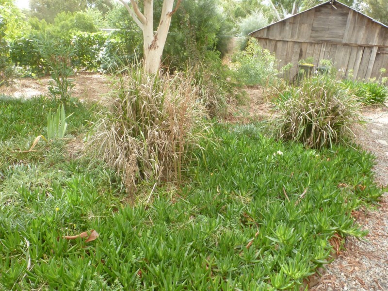 3 Little, Boorowa NSW 2586