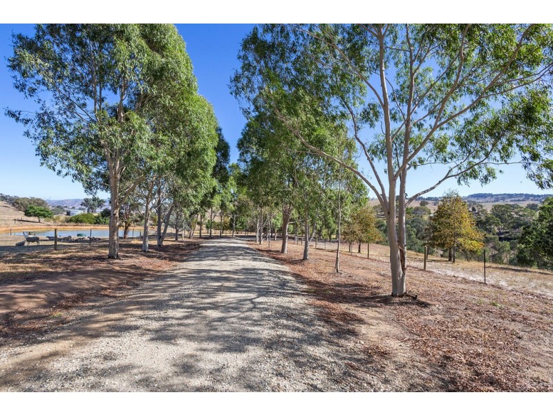 290 Talgarno Gap Road, Bethanga VIC 3691