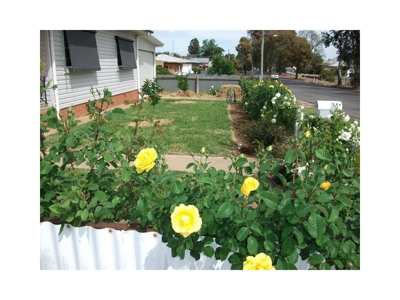 36 Riverine Street, Narrandera NSW 2700