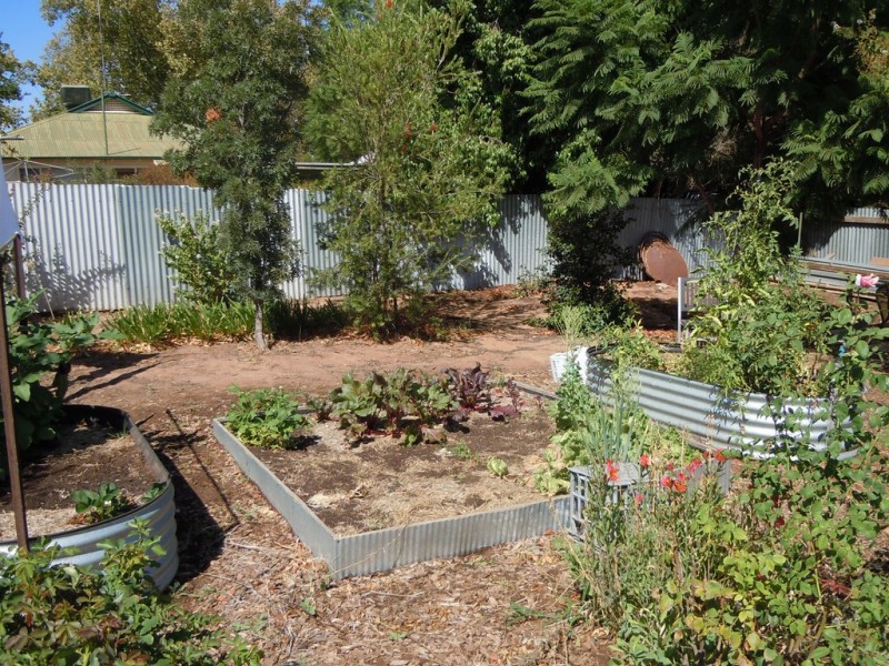 36 Riverine Street, Narrandera NSW 2700