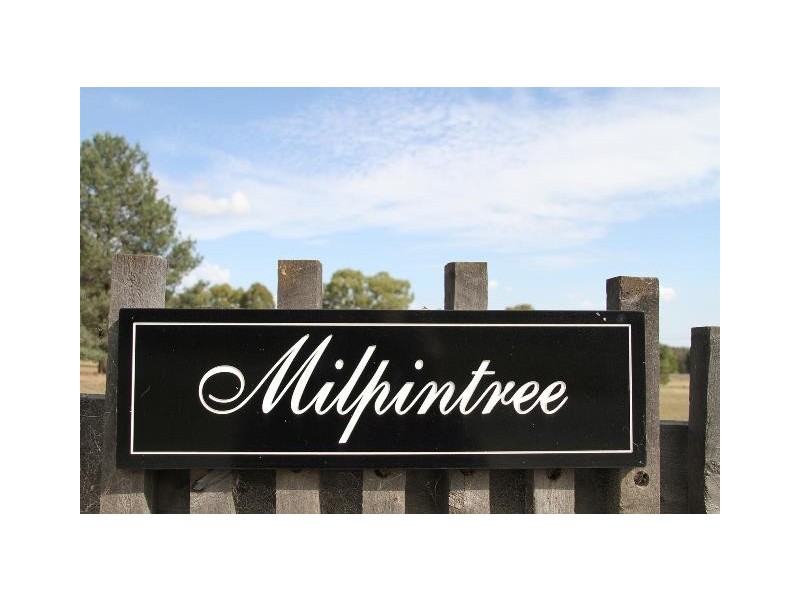 - Cnr River Street/Watermain, Narrandera NSW 2700