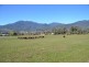 147A Kiewa Valley Highway, Tawonga South VIC 3698