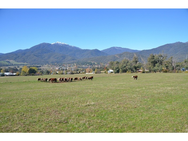 147A Kiewa Valley Highway, Tawonga South VIC 3698