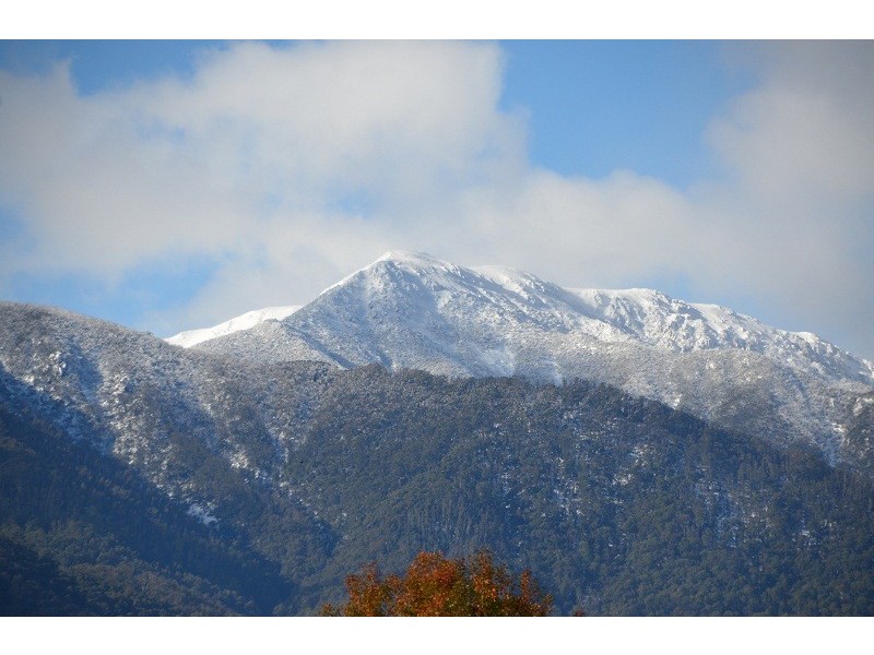 2 Damms Court, Tawonga South VIC 3698