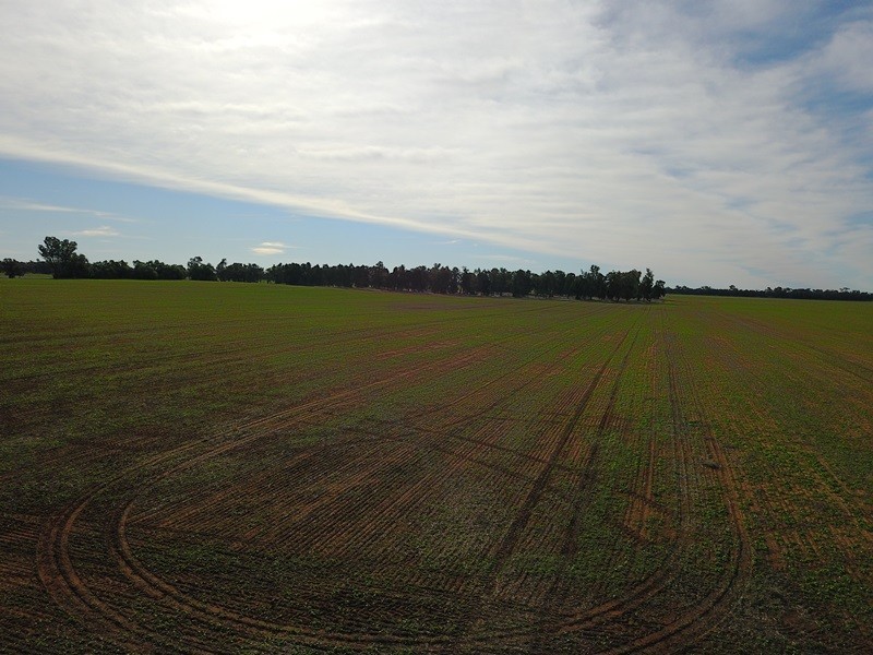 ‘Strathbrae’ Woodstock Road, Berrigan NSW 2712