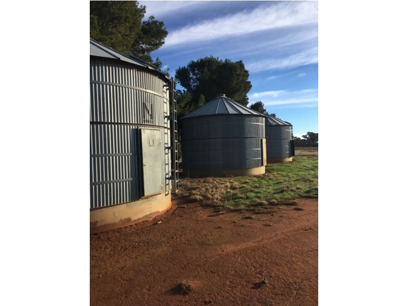 606 Semmelar Rd, Barellan NSW 2665