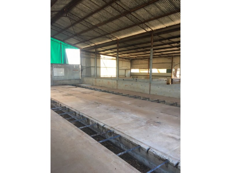 606 Semmelar Rd, Barellan NSW 2665