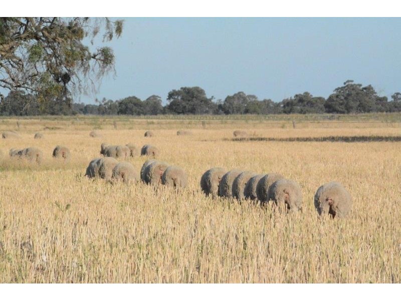 ‘Ascot’ RMB 185 Hetherington Road, Deniliquin NSW 2710