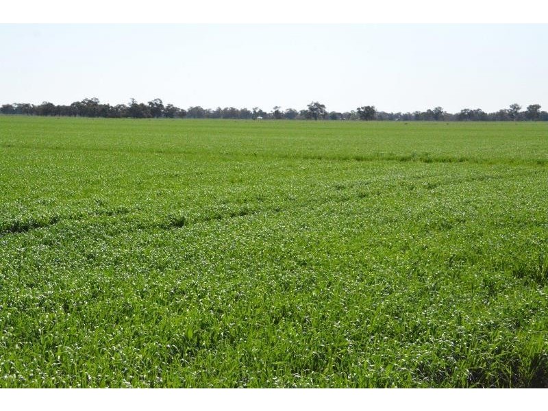 ‘Ascot’ RMB 185 Hetherington Road, Deniliquin NSW 2710