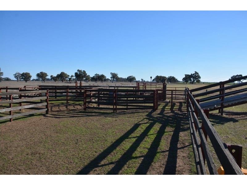‘Ascot’ RMB 185 Hetherington Road, Deniliquin NSW 2710