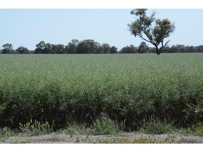 ‘Ascot’ RMB 185 Hetherington Road, Deniliquin NSW 2710