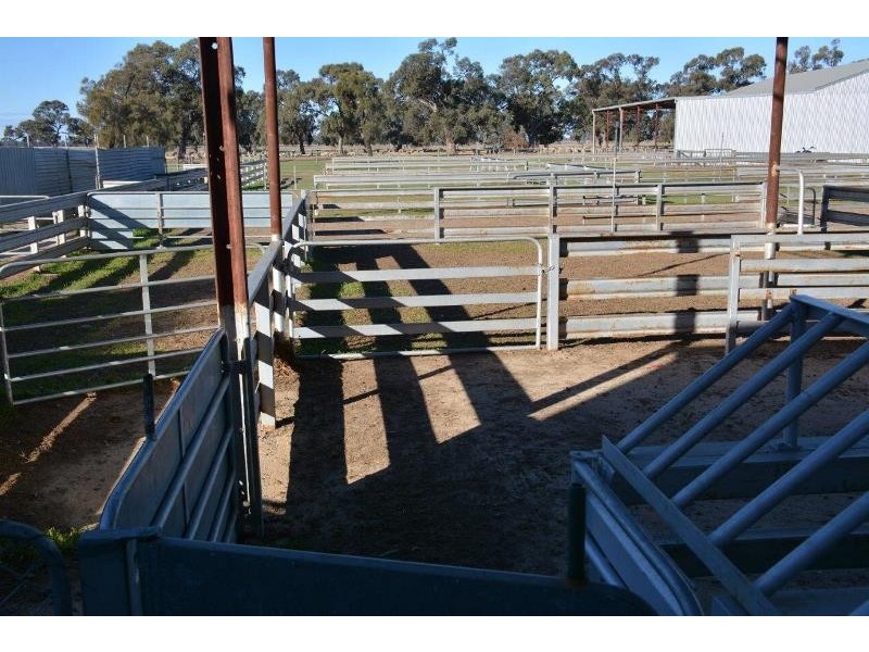 ‘Ascot’ RMB 185 Hetherington Road, Deniliquin NSW 2710