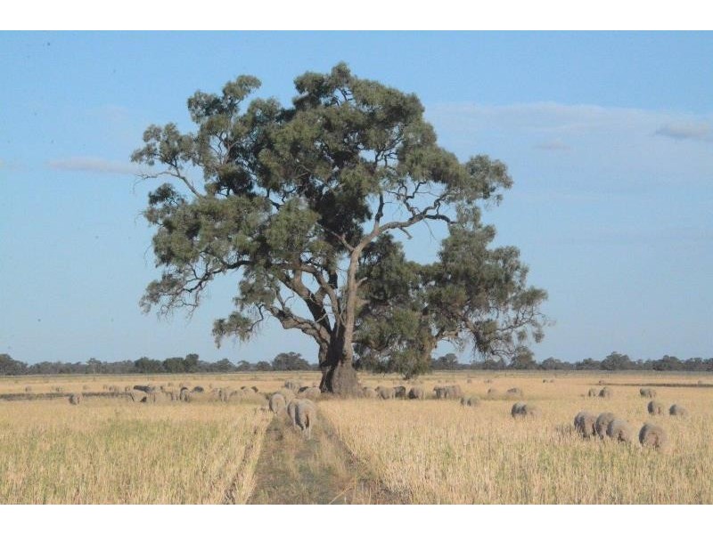 ‘Ascot’ RMB 185 Hetherington Road, Deniliquin NSW 2710