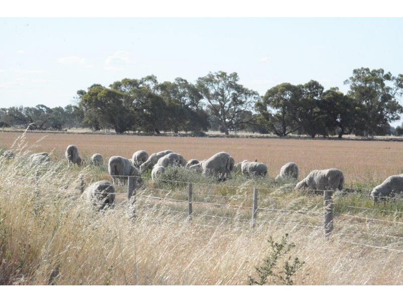 ‘Ascot’ RMB 185 Hetherington Road, Deniliquin NSW 2710