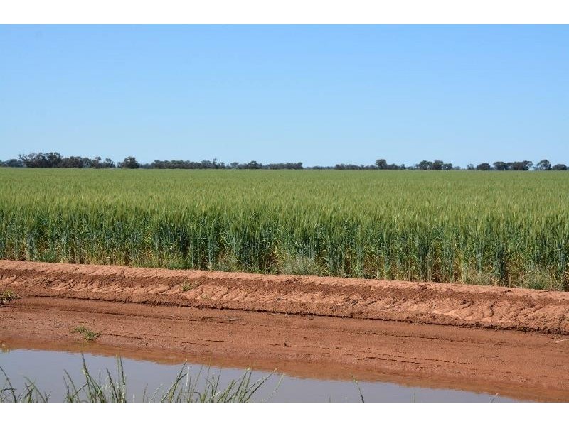 ‘Ascot’ RMB 185 Hetherington Road, Deniliquin NSW 2710