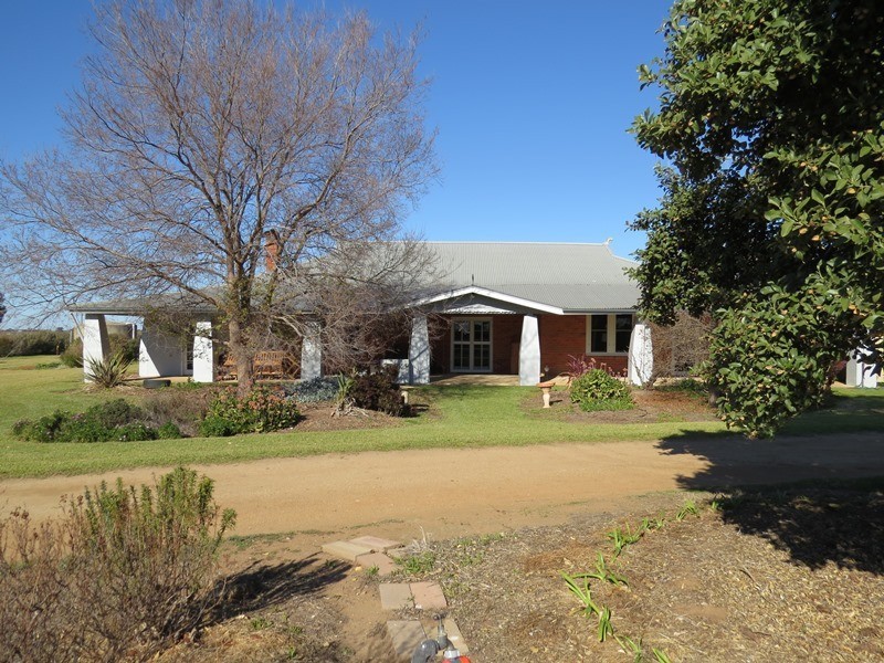 666 Lindifferon Lane, Deniliquin NSW 2710