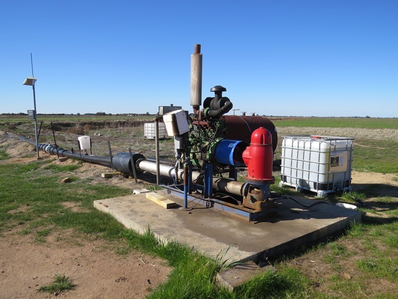 666 Lindifferon Lane, Deniliquin NSW 2710