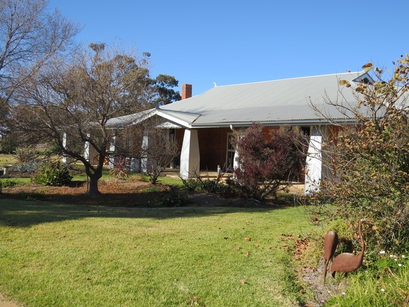 666 Lindifferon Lane, Deniliquin NSW 2710