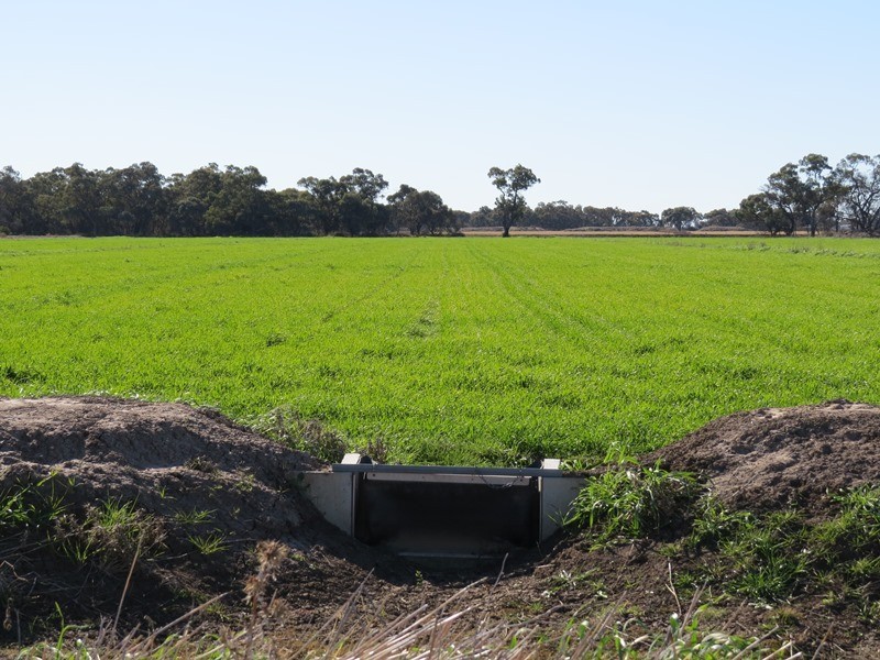 666 Lindifferon Lane, Deniliquin NSW 2710