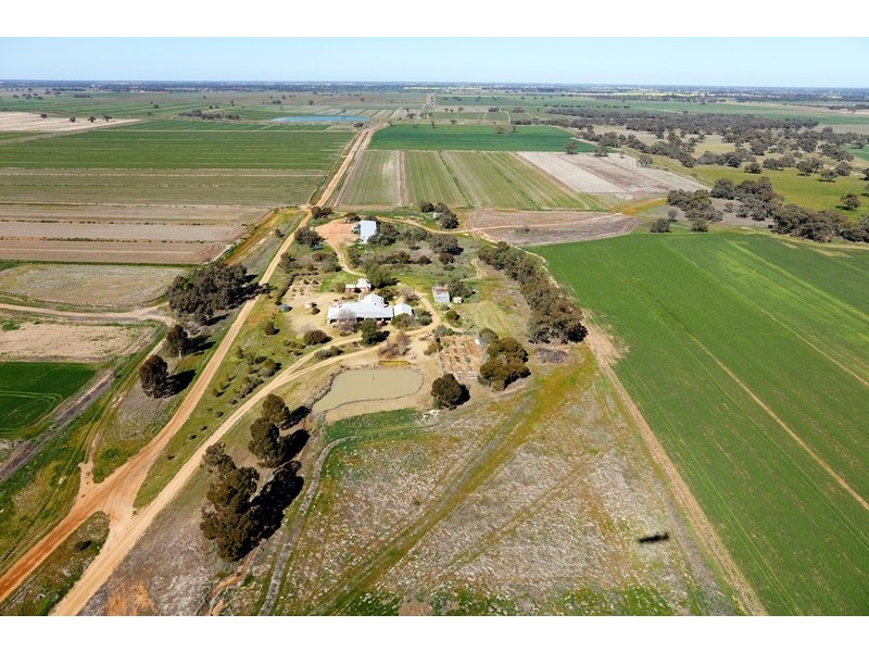 666 Lindifferon Lane, Deniliquin NSW 2710