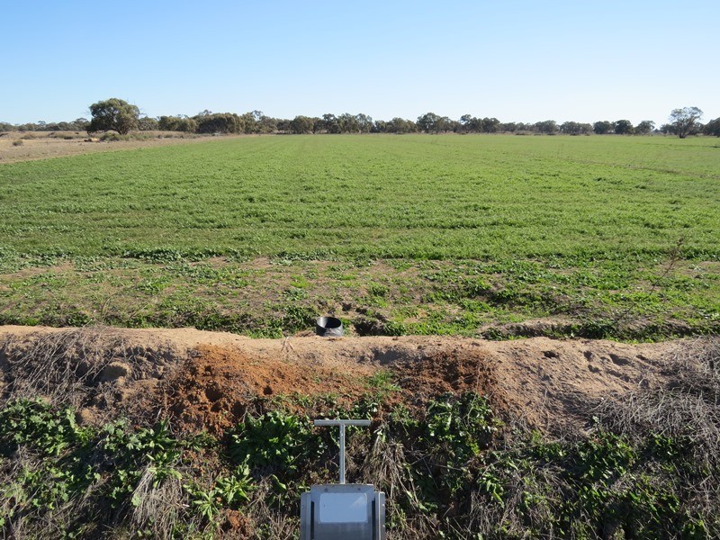 666 Lindifferon Lane, Deniliquin NSW 2710