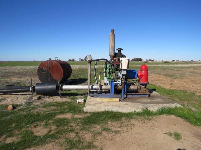 666 Lindifferon Lane, Deniliquin NSW 2710